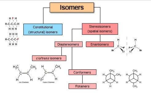 What is the relationship between the following two compounds